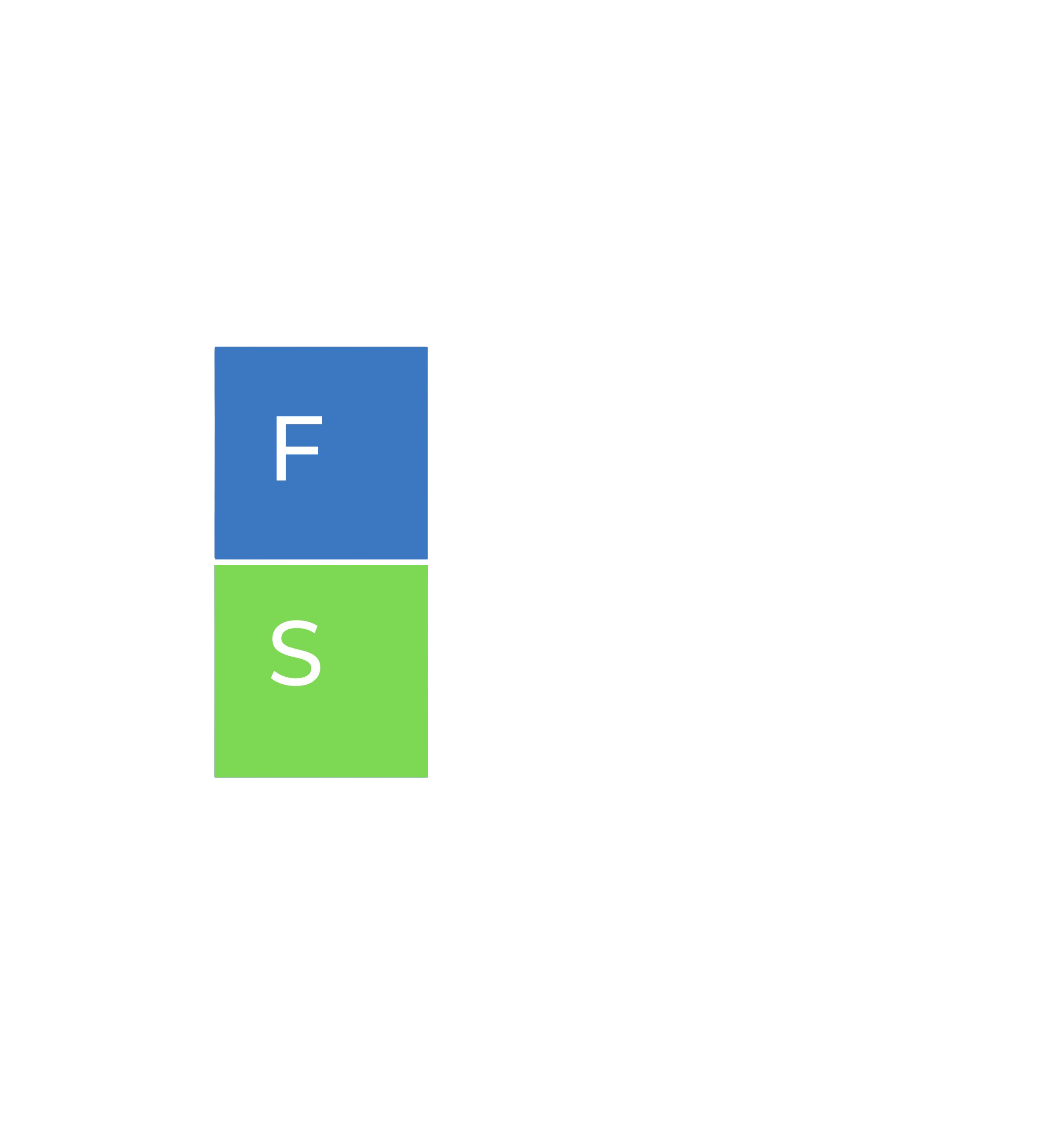 FS Insurace Broker